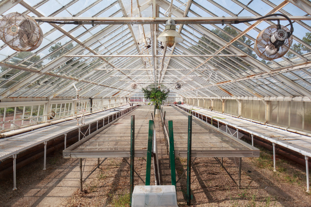 End of the season at the green house. by batfish