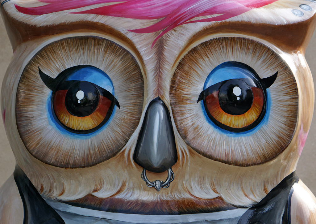Nottingham Wise Owl Walk - Rock Chick by phil_howcroft