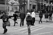 12th Jan 2011 - Standing Out In a Cross Walk