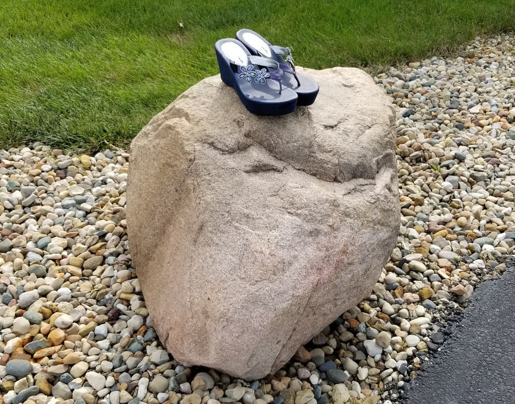 Random shoes on a rock. Just had to take a picture.  by scoobylou