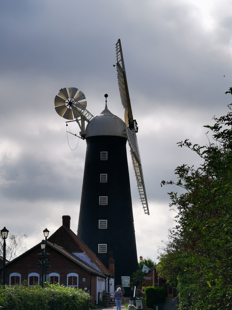 Waltham. Windmill  by plainjaneandnononsense