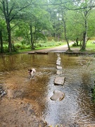 16th Sep 2020 - Stepping stones