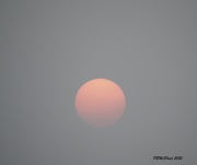 17th Sep 2020 - Hazy Sun