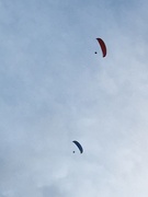 15th Sep 2020 - Gliders
