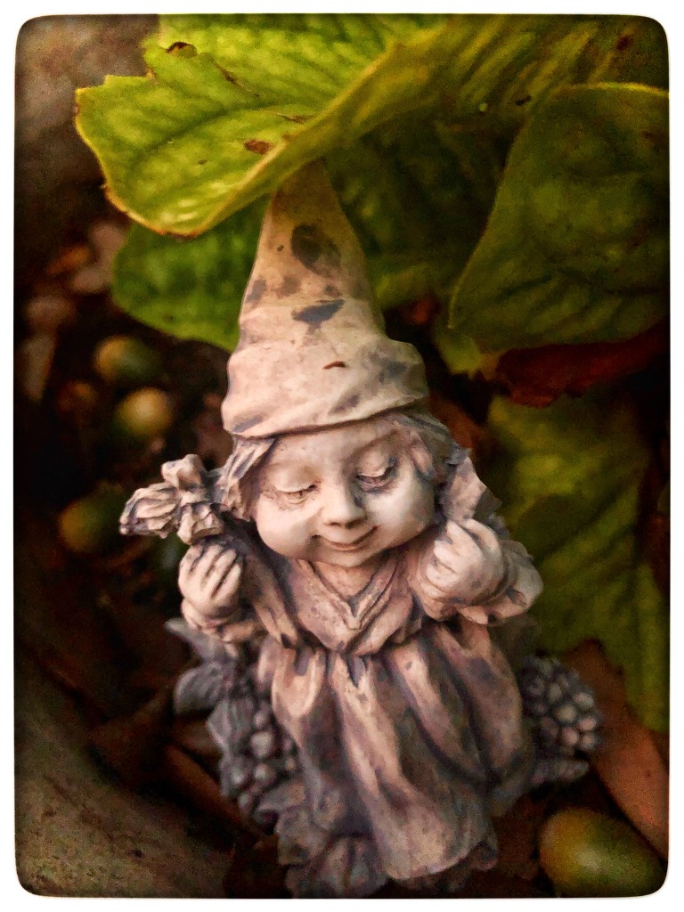 Gnome alone by kaylynn2150