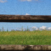 Painted Fence and Field by marlboromaam