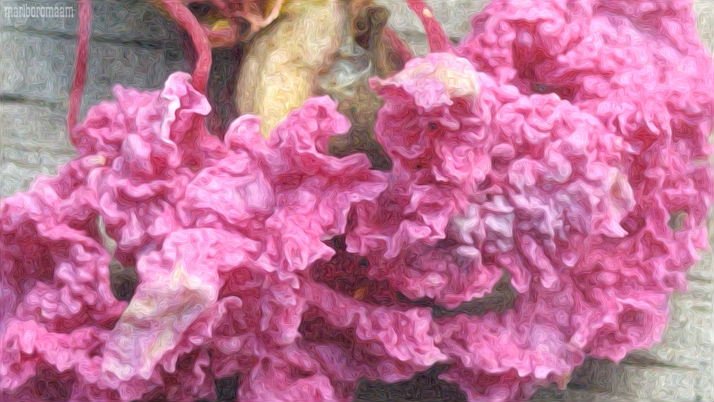 Painted Petticoat... by marlboromaam