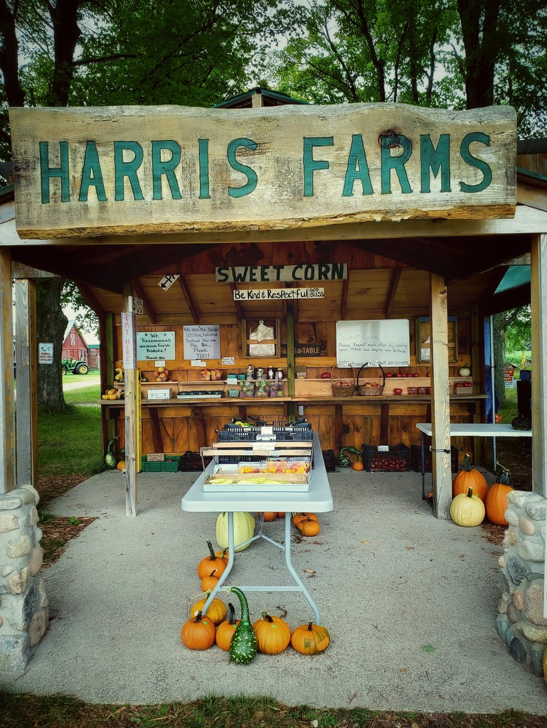 Harris Farms by edorreandresen