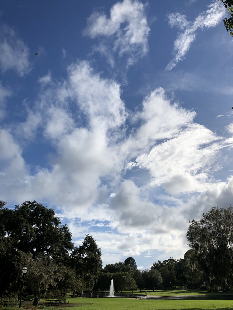 Late summer clouds at Hampton Park by congaree