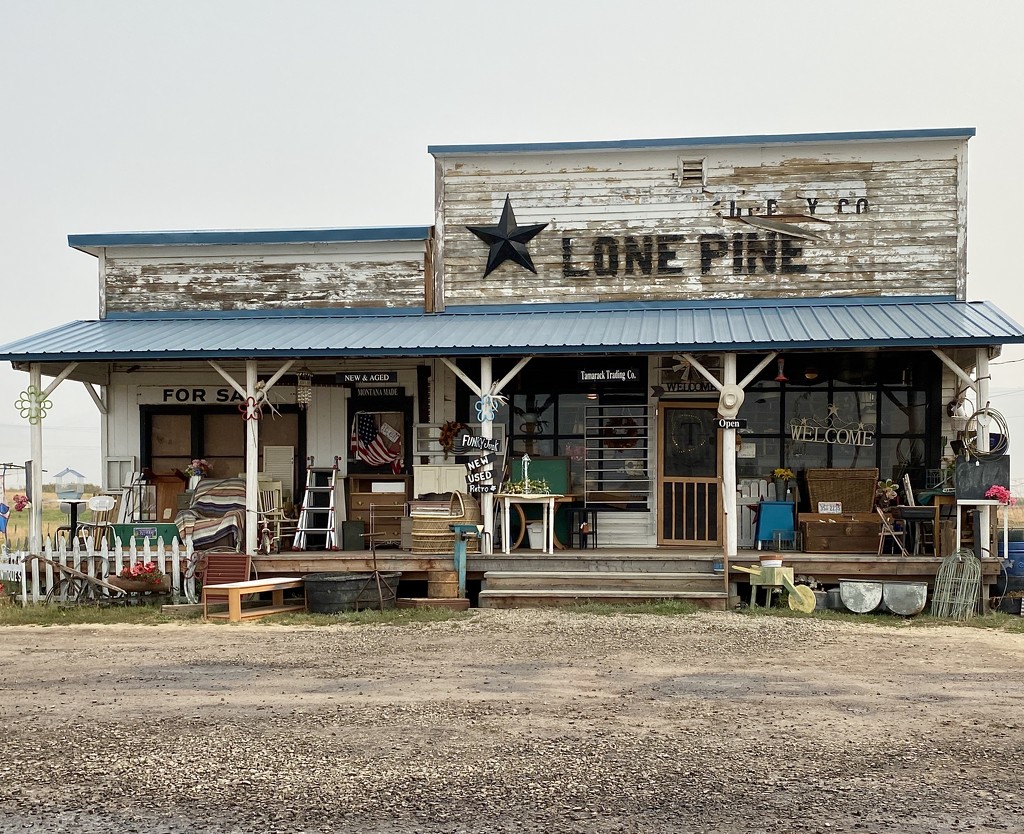 Lone Pine Antiques  by clay88