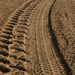 0918 - Tracks in the sand by bob65
