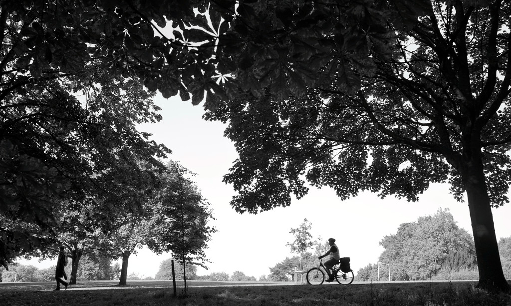 Parklife - A Cycle In The Park  by phil_howcroft