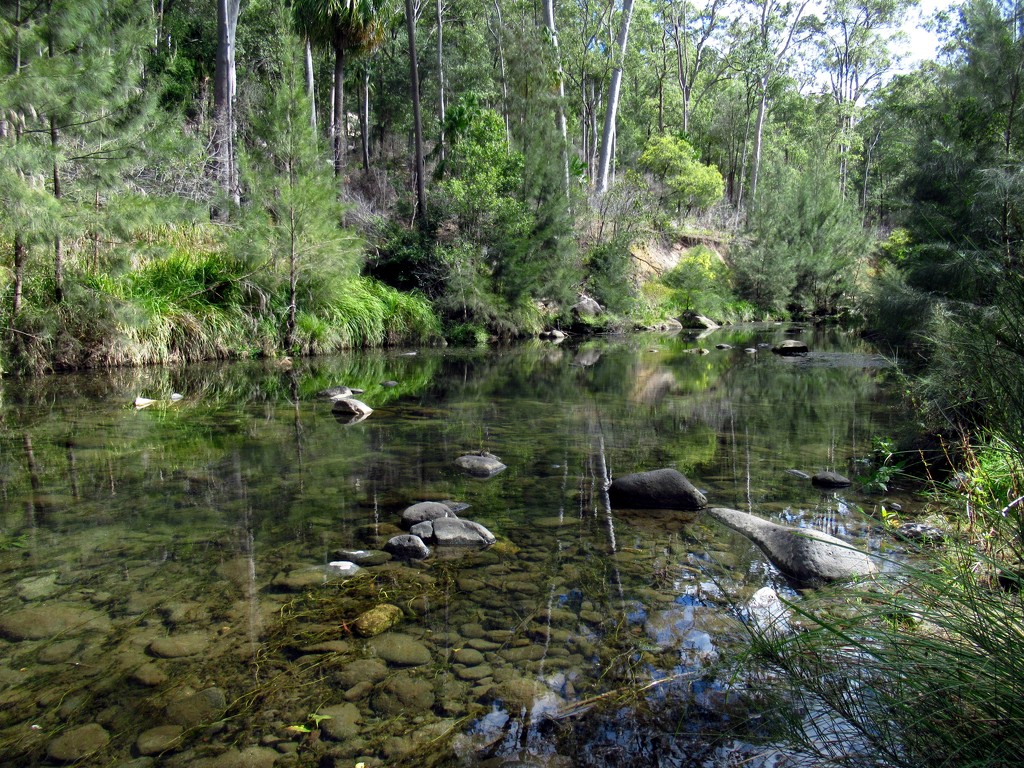 Carnarvon Creek  by robz