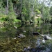 Carnarvon Creek  by robz