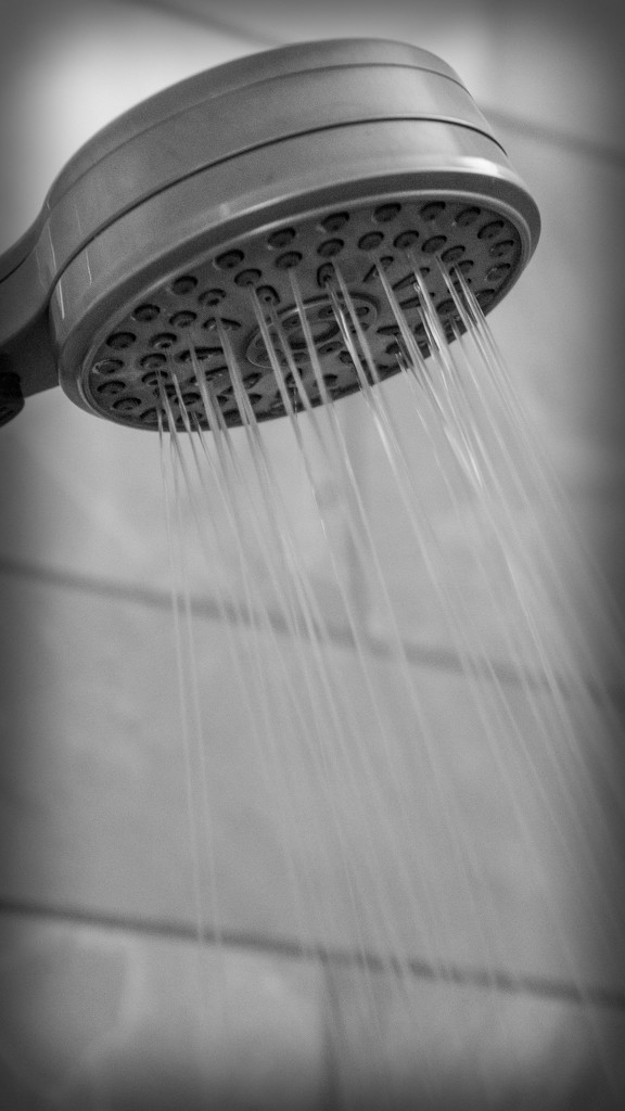 Shower Spray by randystreat