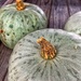 Pumpkins.  by cocobella
