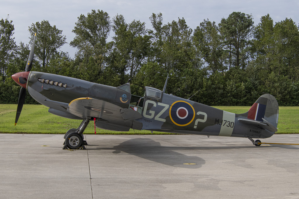 Spitfire by timerskine