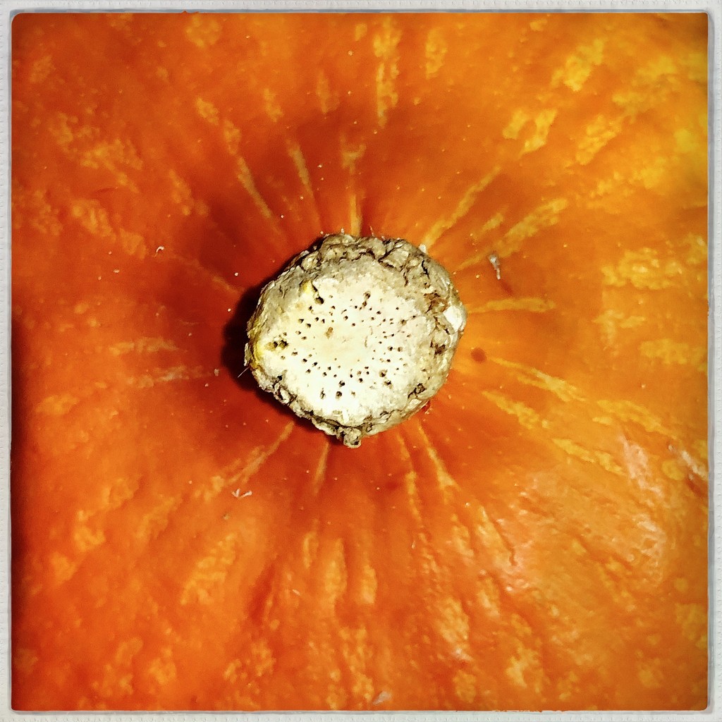 September fruit by mastermek