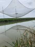 20th Sep 2020 - Fishing net