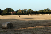 17th Sep 2020 - All baled up