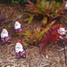 Just a Few Garden Gnomes ~ by happysnaps