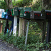 Mailboxes by mittens