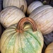 A pumpkin with a handle ! by cocobella