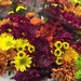 Bouquets in autumn colors  by kchuk