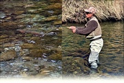 23rd Sep 2020 - Fisher Guide chasing the trout