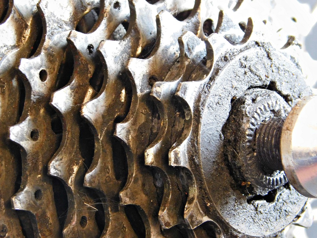So here is an out-of-the-comfort-zone challenge - My challenge for you is to get a picture of gears or an engine. by 365anne