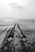 22nd Sep 2020 - Tracks In The Sand