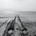 Tracks In The Sand by davemockford