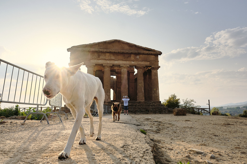 All tourists welcome by stefanotrezzi