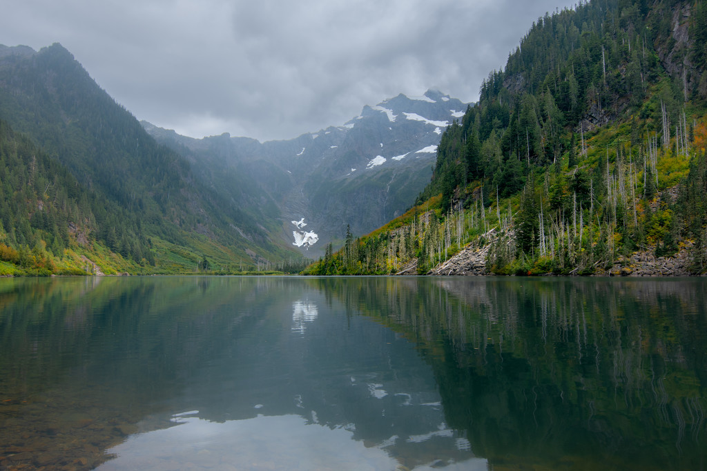 Foggy Lake by teriyakih