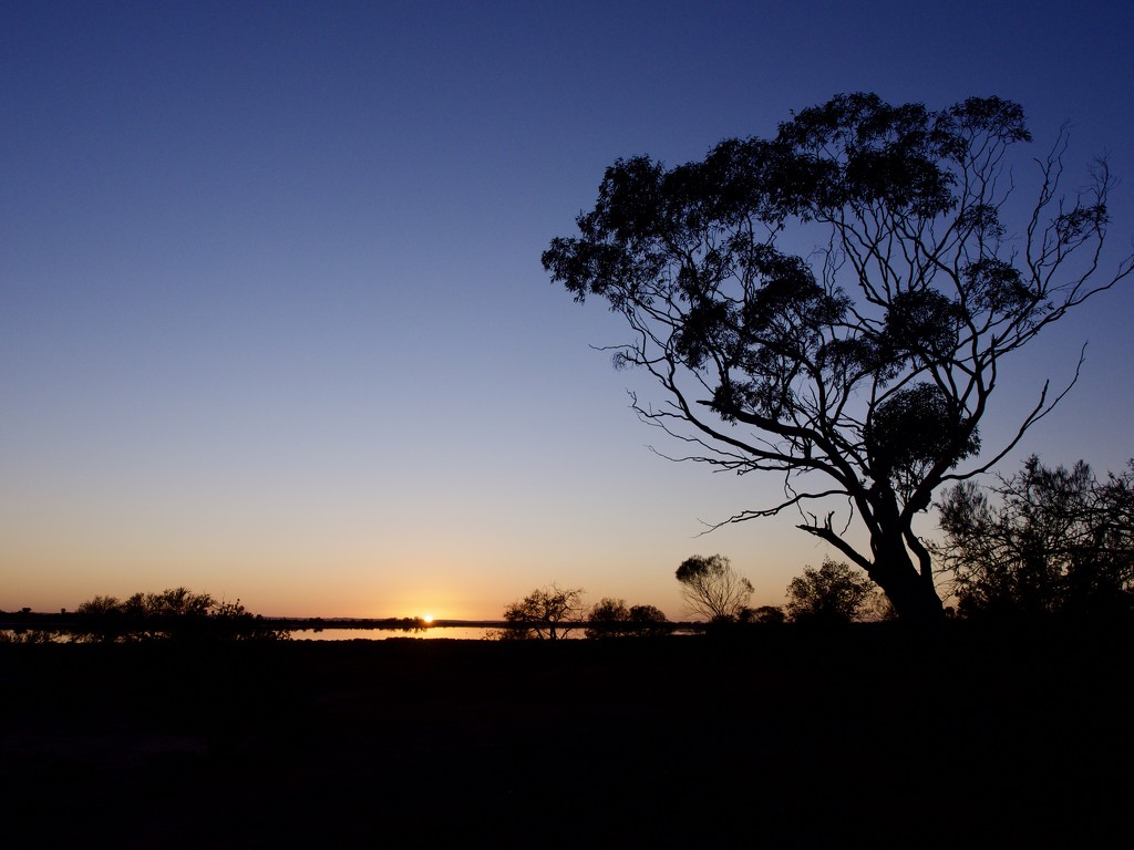 Sunrise Over Lake Baladjie P9180065 by merrelyn