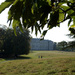 Sept 17th Petworth House by valpetersen