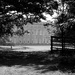 Sept 15th Petworth House by valpetersen