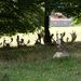 Sept 20th The Deer Park by valpetersen