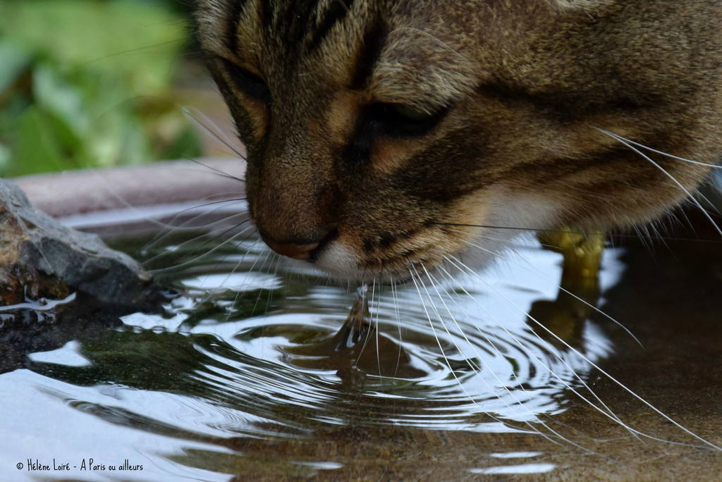 Thirsty by parisouailleurs