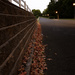 Fall By The Road by ramr