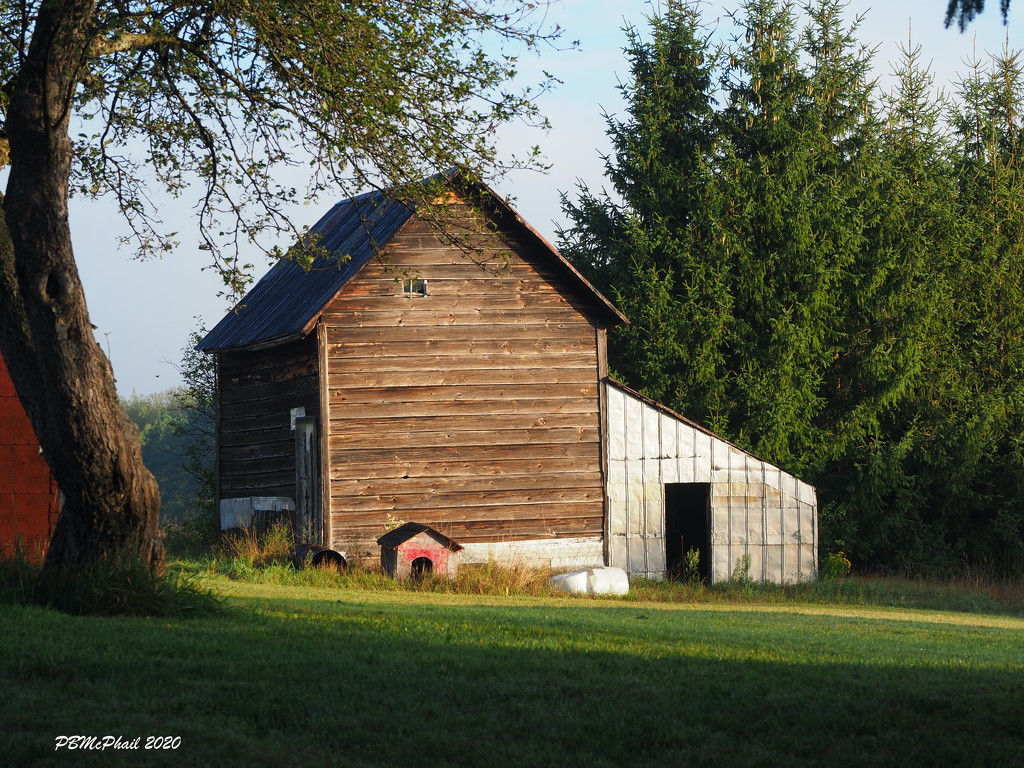 Old Barn by selkie