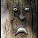 Angry Tree by hjbenson