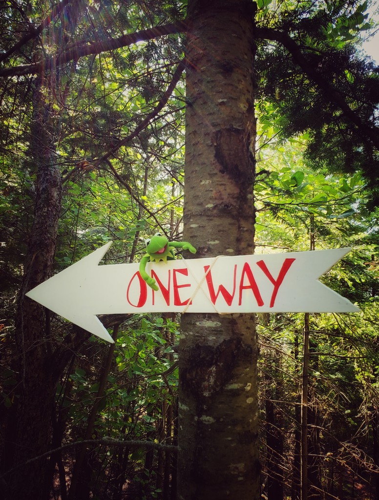 one way by edorreandresen
