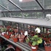 Greenhouse by arthurclark
