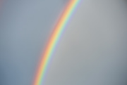 24th Sep 2020 - Rainbow Up-close