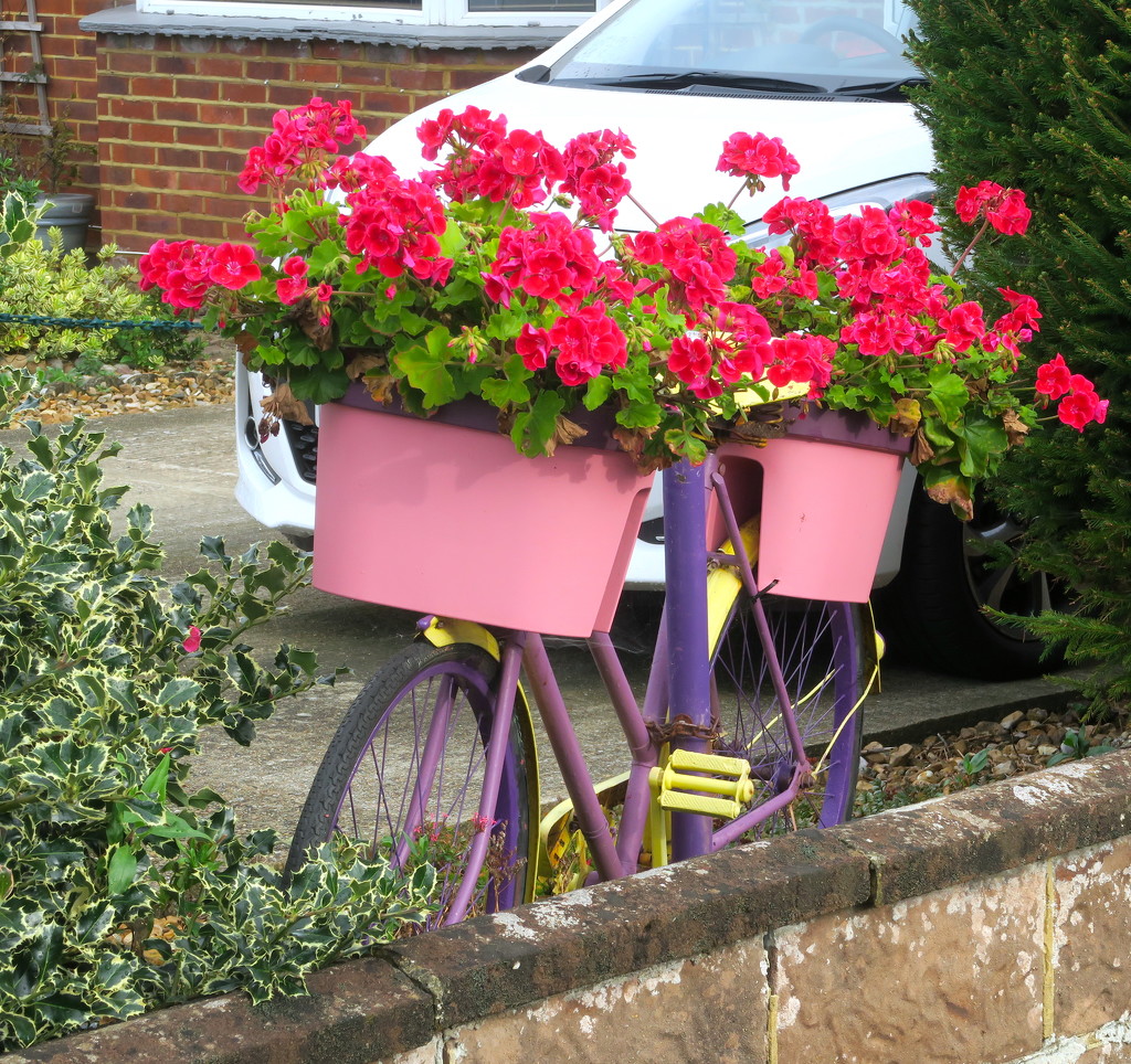 Flowers On  Bike by davemockford