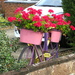 Flowers On  Bike by davemockford