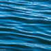 Aquatic Abstract  by theredcamera