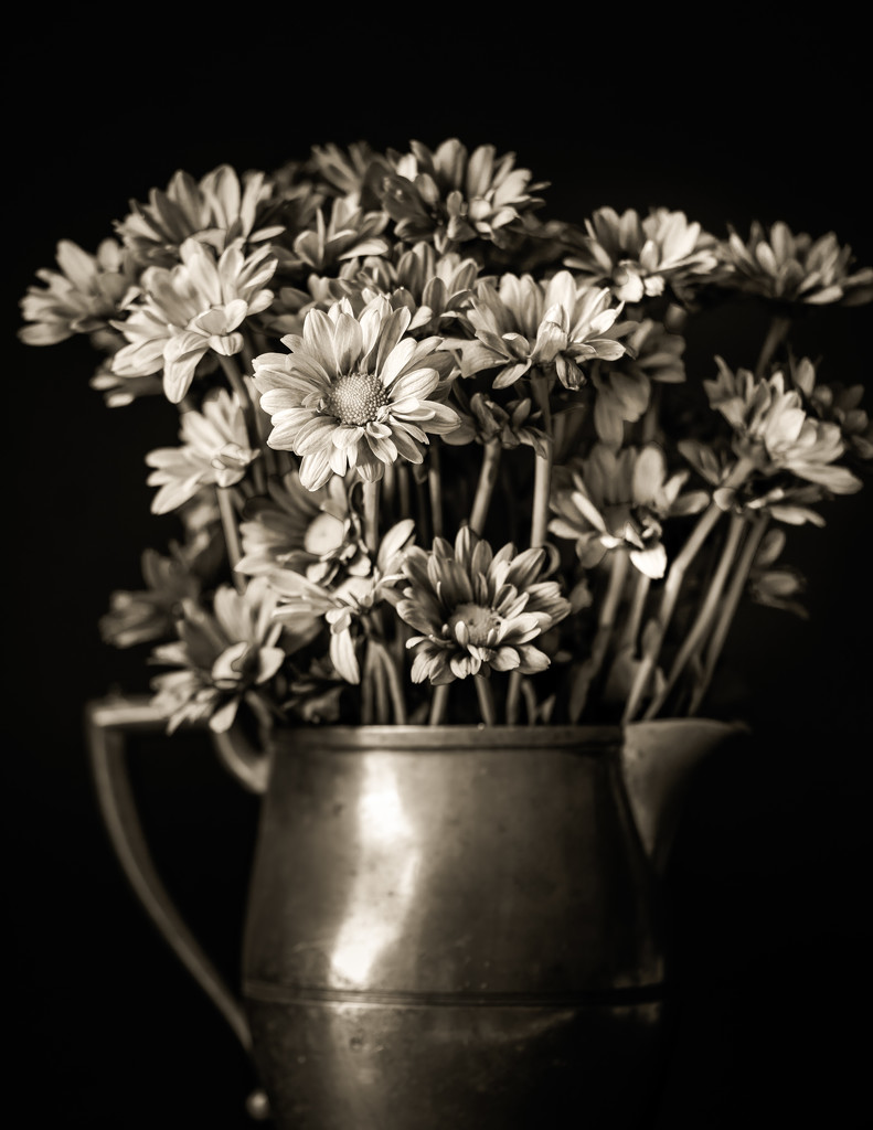 monochrome bouquet by jernst1779