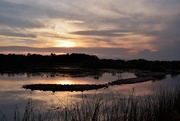 25th Sep 2020 - Sunset at Riverbend Ponds